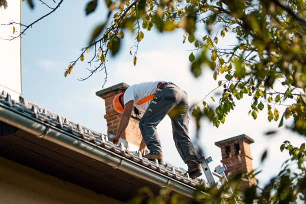 Best Local Roofing Companies  in Highland, KS